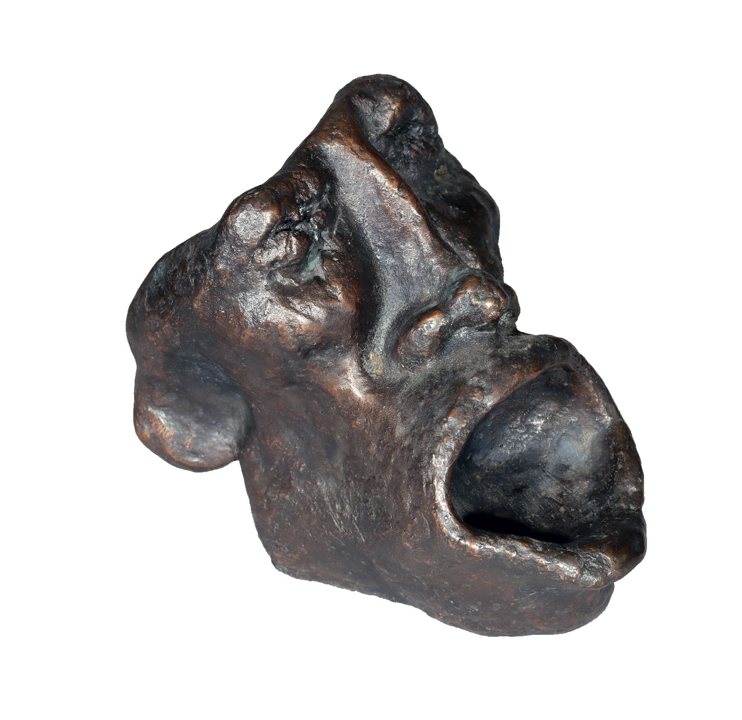 Ruth Leibnitz, Rufer in der Wüste