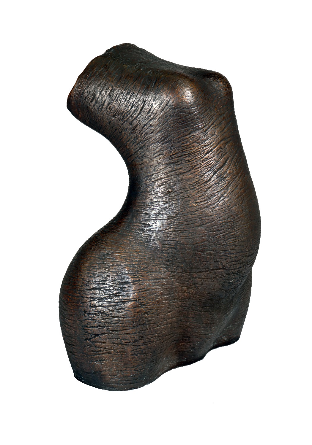 Ruth Leibnitz, Großer Torso